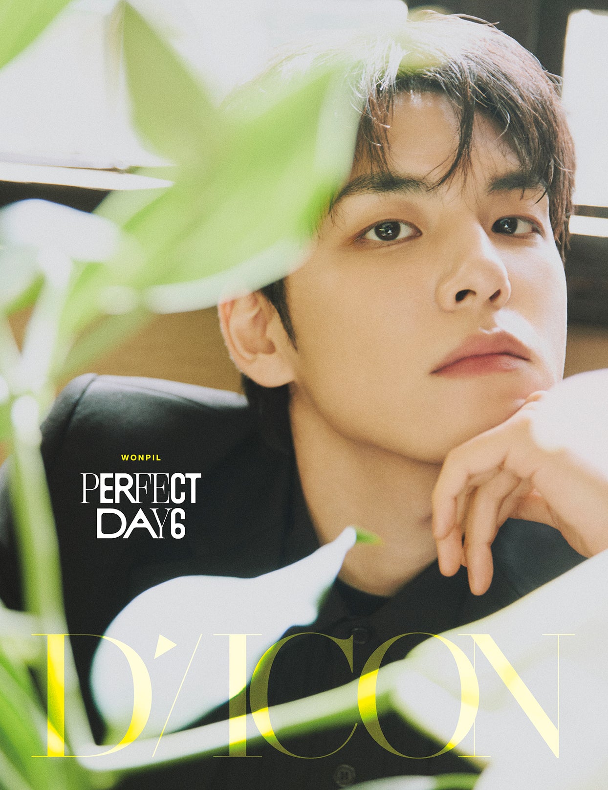 DICON VOLUME N°27 PERFECT DAY6 WONPIL ver.