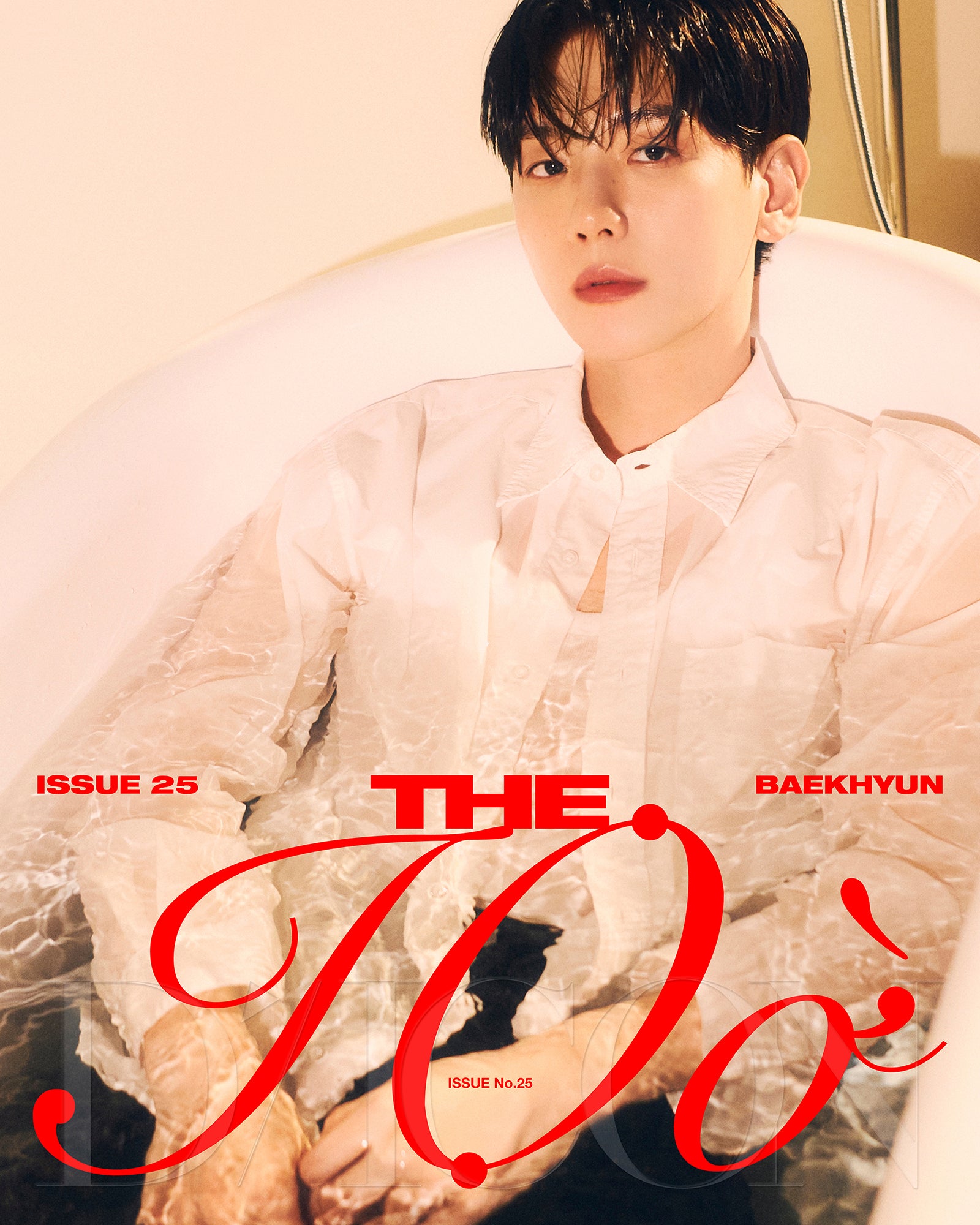 DICON VOLUME N°25 BAEKHYUN D-type